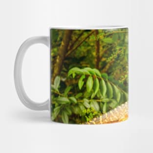 Australian Water Dragon Mug